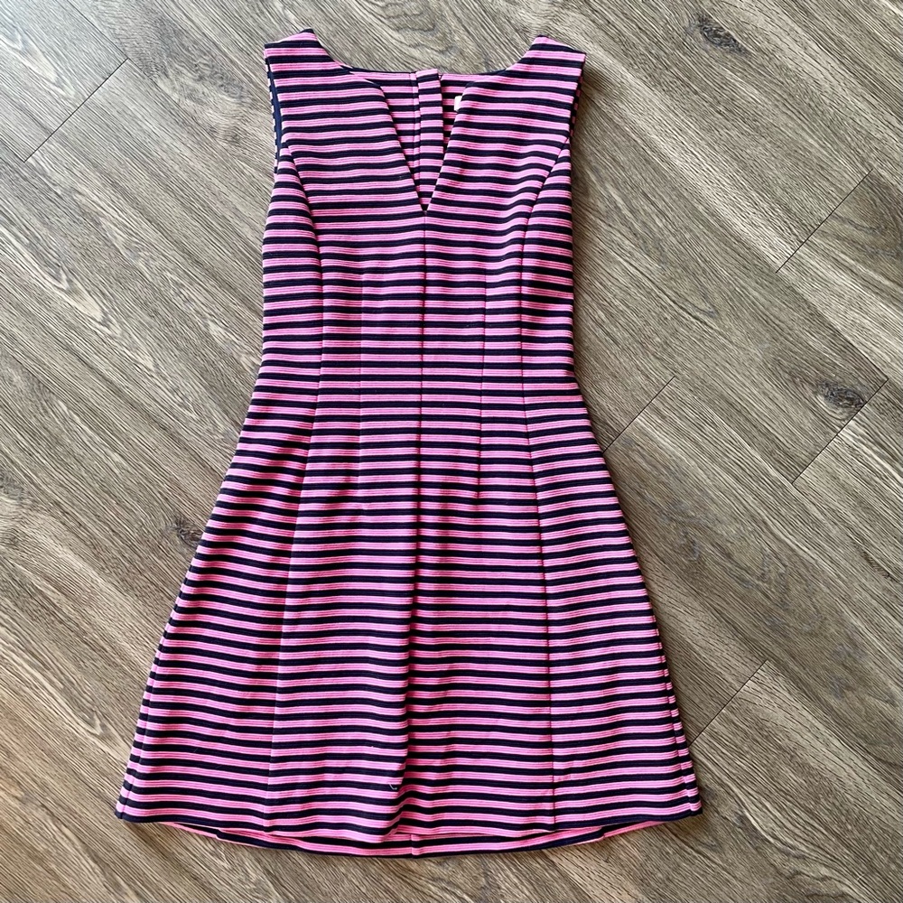 Lilly Pulitzer Pink and Navy Striped Brielle Dress
